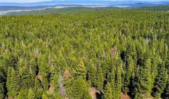 8735 Bering Rd, Alturas, CA 96101