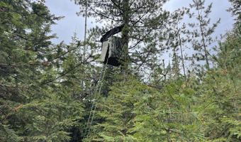 1728 Dry Creek Rd, Clark Fork, ID 83811