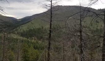 Spiritwood Ln, Bellvue, CO 80512