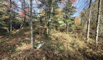 TBD 5.5ac Fishing Site 1, Amasa, MI 49903