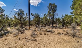 413 Delasso Loos Rd, Blanco, NM 87412