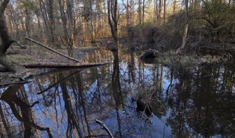 U.S. Highway 51, Bogue Chitto, MS 39629