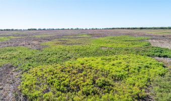 TBD Lot 28 County Road 497, Anson, TX 79501