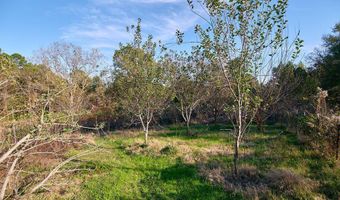 1541 Frank Hall Rd, Bolton, MS 39041