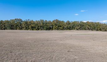 County Road 236 lot 5, Bell, FL 32619