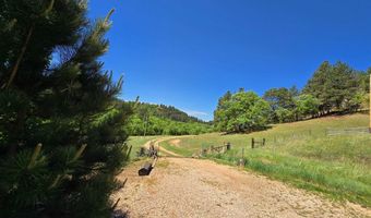30 Alum Creek Rd, Aladdin, WY 82710