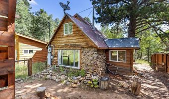 665 Lower Travis Gulch Rd, Black Hawk, CO 80422