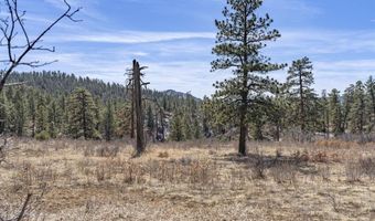 TBD Lot 4 Beaver Creek Ranch Drive, Bayfield, CO 81122