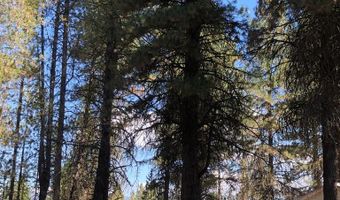 1909 Gold Dust Rd 60, Cascade, ID 83611