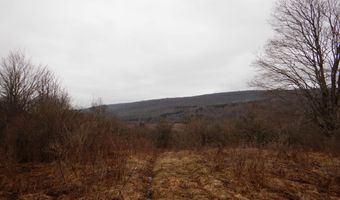 County Route 16, Angelica, NY 14709