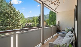 100 E Dean St 2D, Aspen, CO 81611