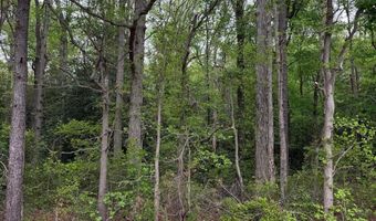 HUNTING QUARTER RD lot 3, Houston, DE 19954