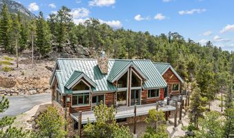 2430 Big Owl Rd, Allenspark, CO 80510