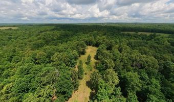 County Road 200, Alton, MO 65606
