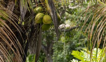 52-284 KEOKEA PARK Rd, Kapaau, HI 96755