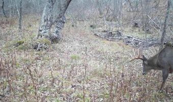 22 Monument Rd, Abbot, ME 04406