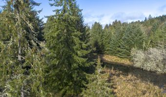 Walluski Loop, Astoria, OR 97103