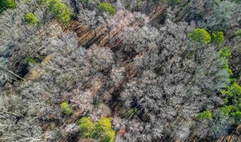 365 Skinner Rd, Austin, AR 72007