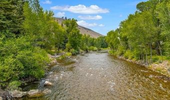 209 Deer Path Ln, Almont, CO 81230