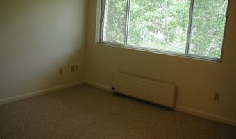 405 Park Ave #A6, Basalt, CO 81621