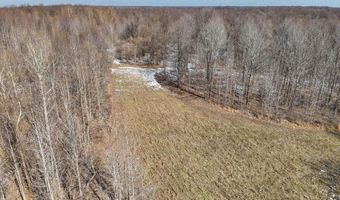 Sandy Branch Road, Bardwell, KY 42023