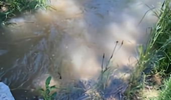 900 Calkin / Rice Rd, Fallon, NV 89406