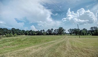 1229 Holly Bush Rd, Brandon, MS 39047