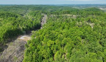 Tbd Green Springs Road, Abingdon, VA 24211