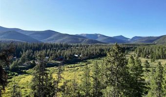 110 Pine Tree Ln, Almont, CO 81210