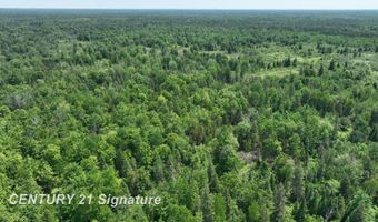 6002 Wildwood, Alger, MI 48610