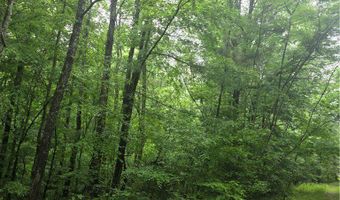 Jim Allred Road, Bankston, AL 35542