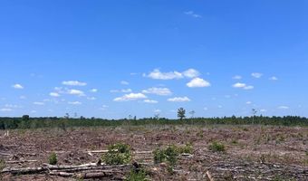 001 West Rd, Bethune, SC 29009