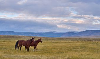 Sheep Mountain Road, Centennial, WY 82055