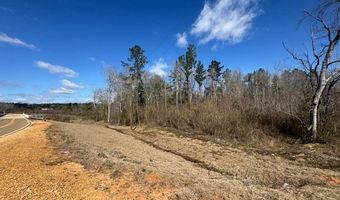1111 Mount Olive Rd SE, Bogue Chitto, MS 39629
