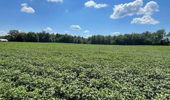 2672 Big Fork Rd, Barnwell, SC 29812
