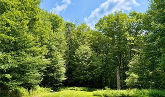 253 Davis Hollow Rd, Andes, NY 13731