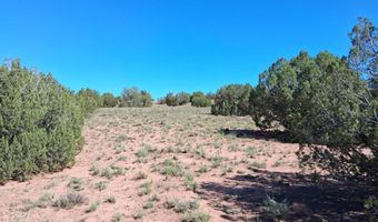 268 N 5380, Concho, AZ 85924