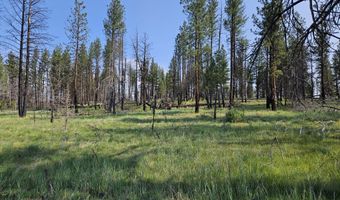 Parazoo Trail Lot 2 Block 8, Bly, OR 97622