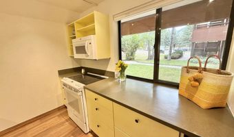 1214 Vine St 1214, Aspen, CO 81611