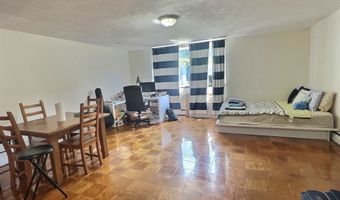 217 Kent 4, Brookline, MA 02445