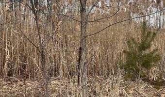 Fox Ridge 1-A Lane, Allenton, MI 48002