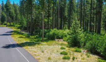 11 Timber Trail Ct, Arnold, CA 95223