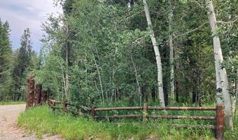 1596 Annies Lndg, Ashton, ID 83420