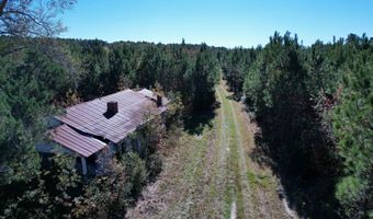 57 40 Acres-TBD Cades Rd, Cades, SC 29518
