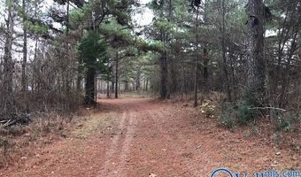 6777 Hwy 207, Anderson, AL 35610