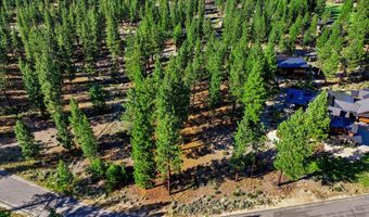 238 Redding Way, Carson City, NV 89705
