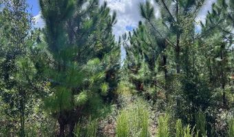 Lot 2 50th Ave, Bell, FL 32619