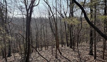 Pecks Drive N, Bergman, AR 72615