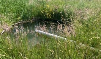 680-550 Butte Creek Rd, Adin, CA 96006