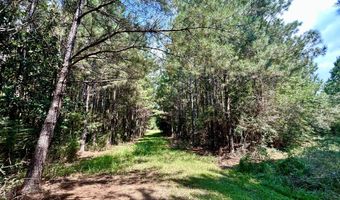 3951 MS-42, Bassfield, MS 39421
